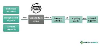 expenditure cycle ais articles